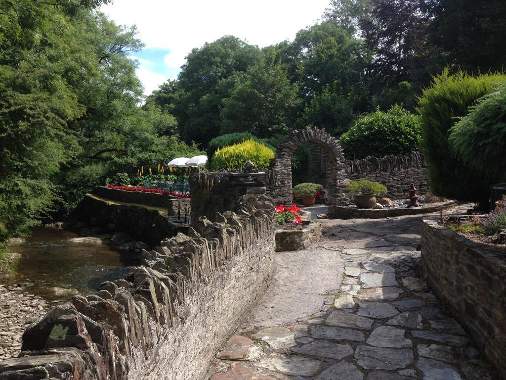 The Old Mill House Bed and Breakfast Padstow Værelse billede